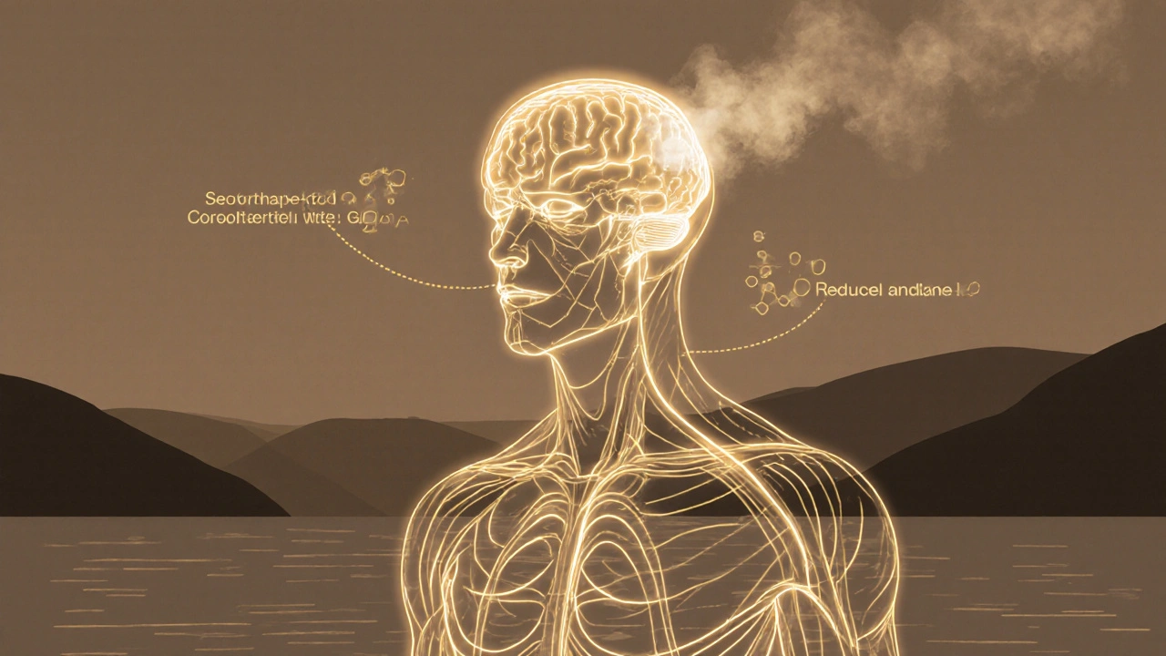 Abstraktní ilustrace těla s vlnami štěstí a klidu proudícími do mozku.